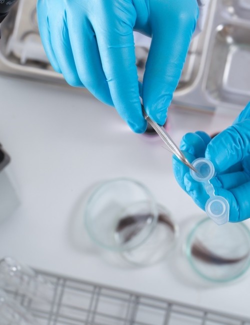 Equipo tecnológico de última generación